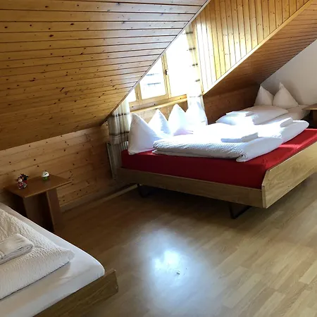 Beauty Scenery Appartement Interlaken