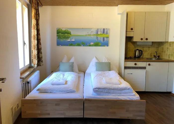 Apartment Beauty Scenery *