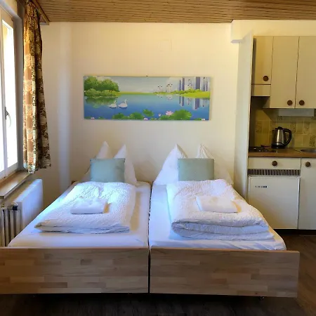 Apartment Beauty Scenery *